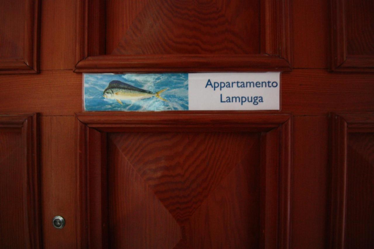 Mimi Sul Mare Apartment Massa Lubrense Bagian luar foto